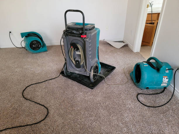 Best Water damage restoration cost  in Salamatof, AK
