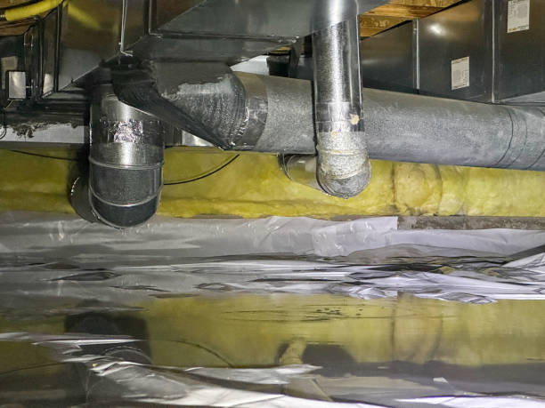 Best Mold removal after water damage  in Salamatof, AK