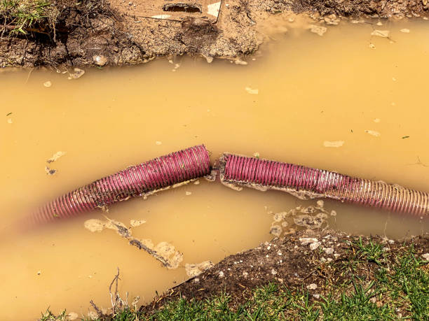 Best Emergency water damage restoration  in Salamatof, AK