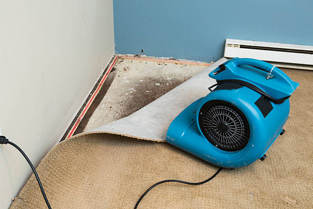 Best Sewage cleanup and water damage restoration  in Salamatof, AK